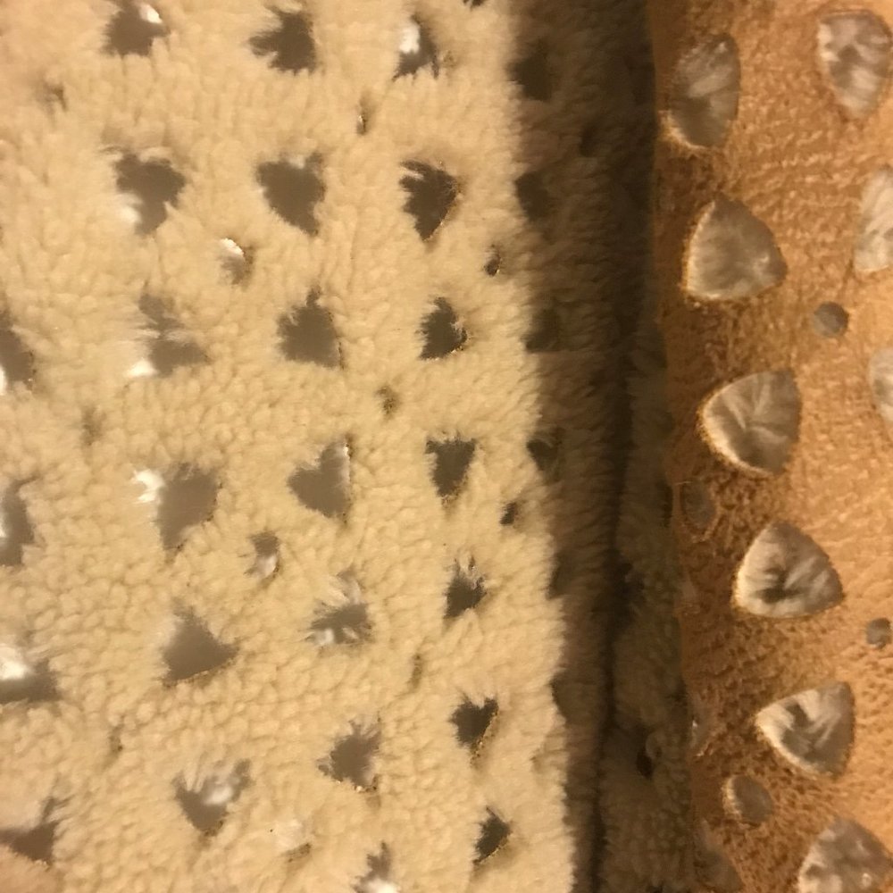 Dylan Vest - image 5